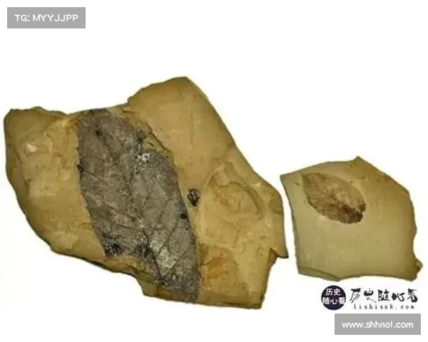 灌香糖的起源与发展历程探析及其文化传承 灌香糖的起源与发展历程探析及其文化传承