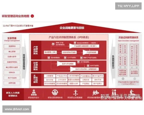 DK宏技术应用研究的十大优化策略及其在实际项目中的实施效果分析 DK宏技术应用研究的十大优化策略及其在实际项目中的实施效果分析