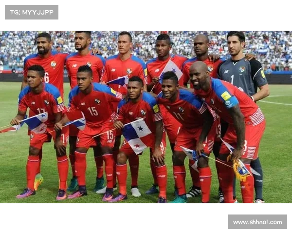 全面解析北美洲杯赛完整参与流程与详细实用指南手册大全版本解读