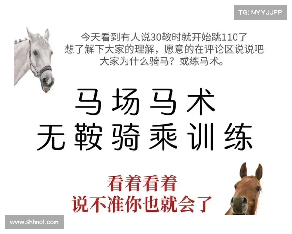 如何从技巧与策略角度全面分析马术比赛中骑手的表现